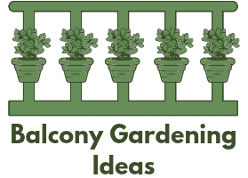 Balcony Gardening Ideas