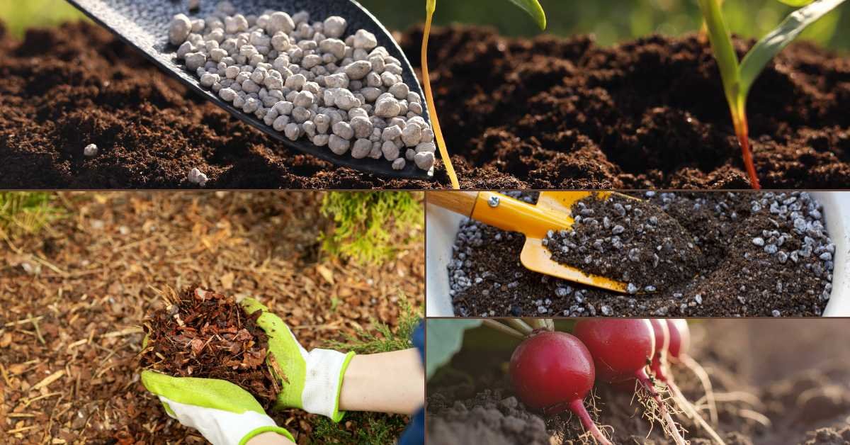 Balcony Gardening Tips for Winter