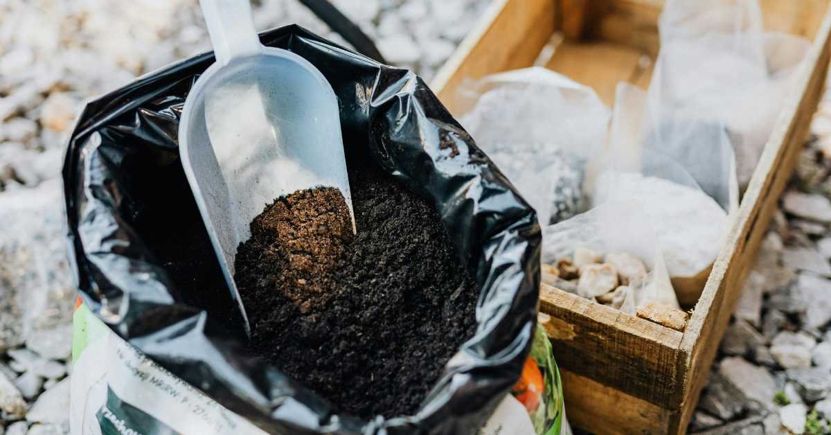 Best Fertilizer Plan for Balcony Vegetables