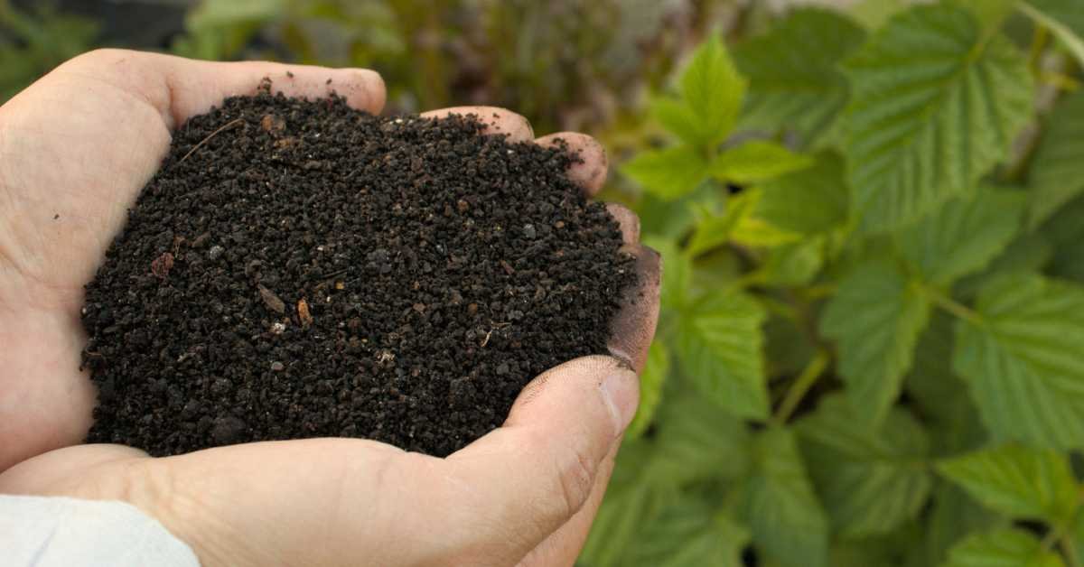 How to Make Your Own Balcony Soil Mix