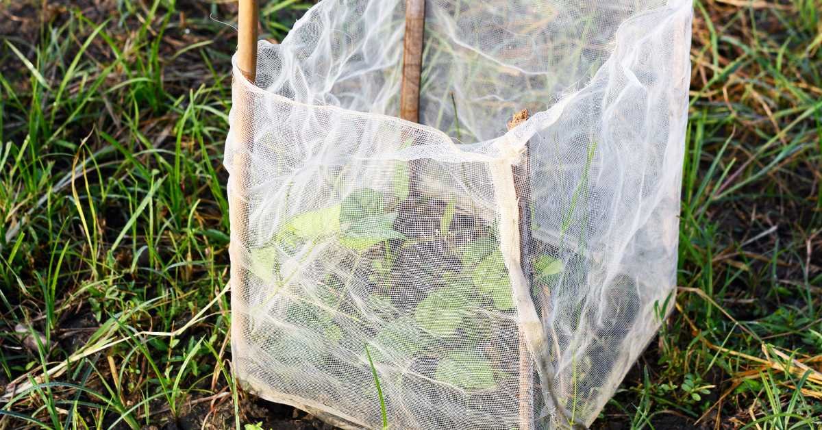 DIY Floating Shade Net