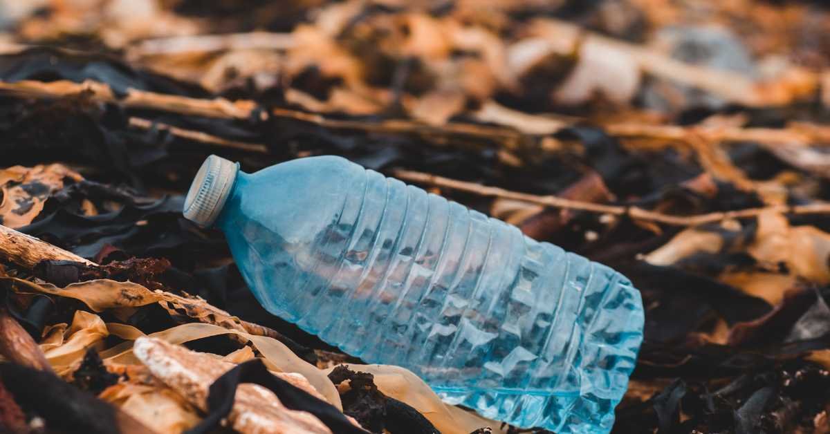 Two-Liter Bottle Self Watering Planter
