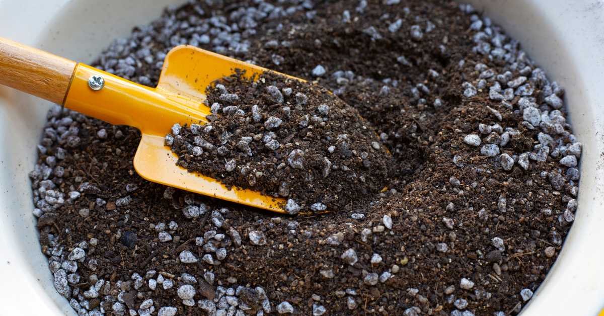 Well Draining Potting Mix