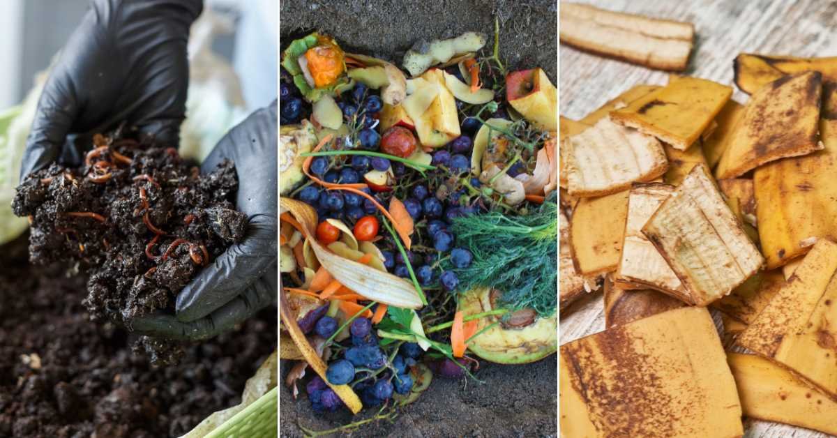 How to Make 10 Powerful Organic Fertilizers at Home