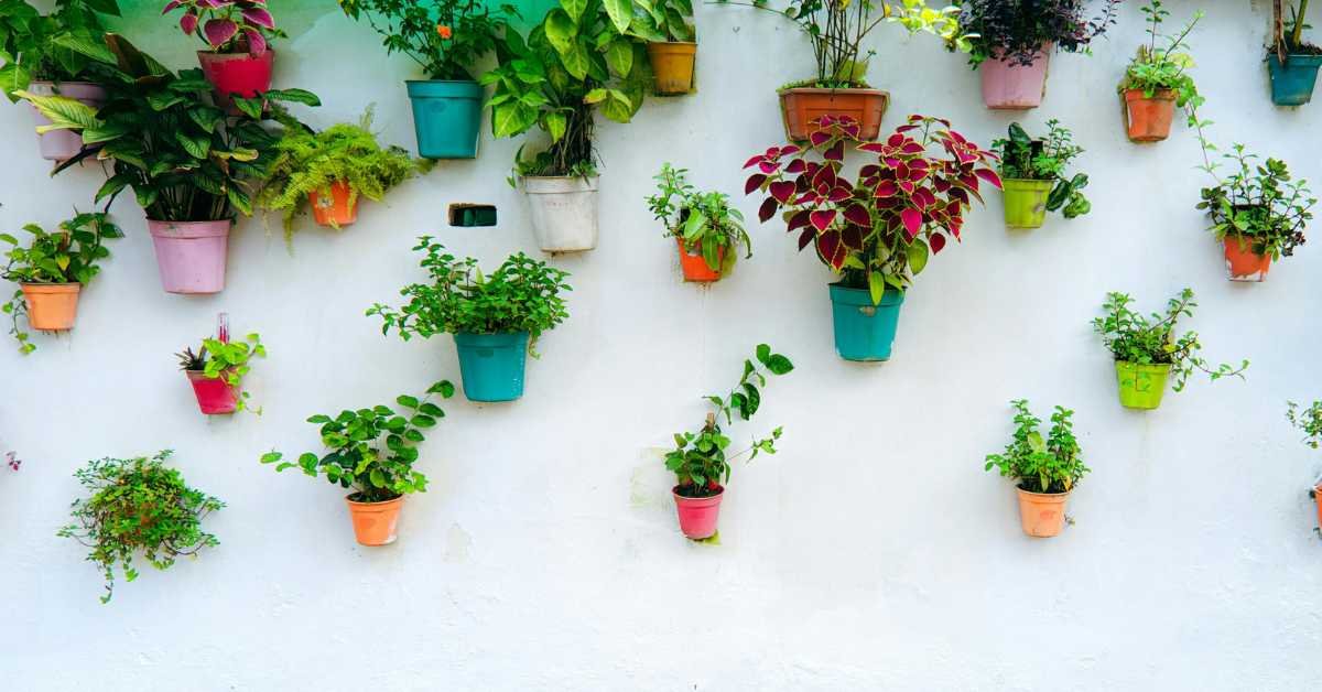 Vertical Wall Garden Layout