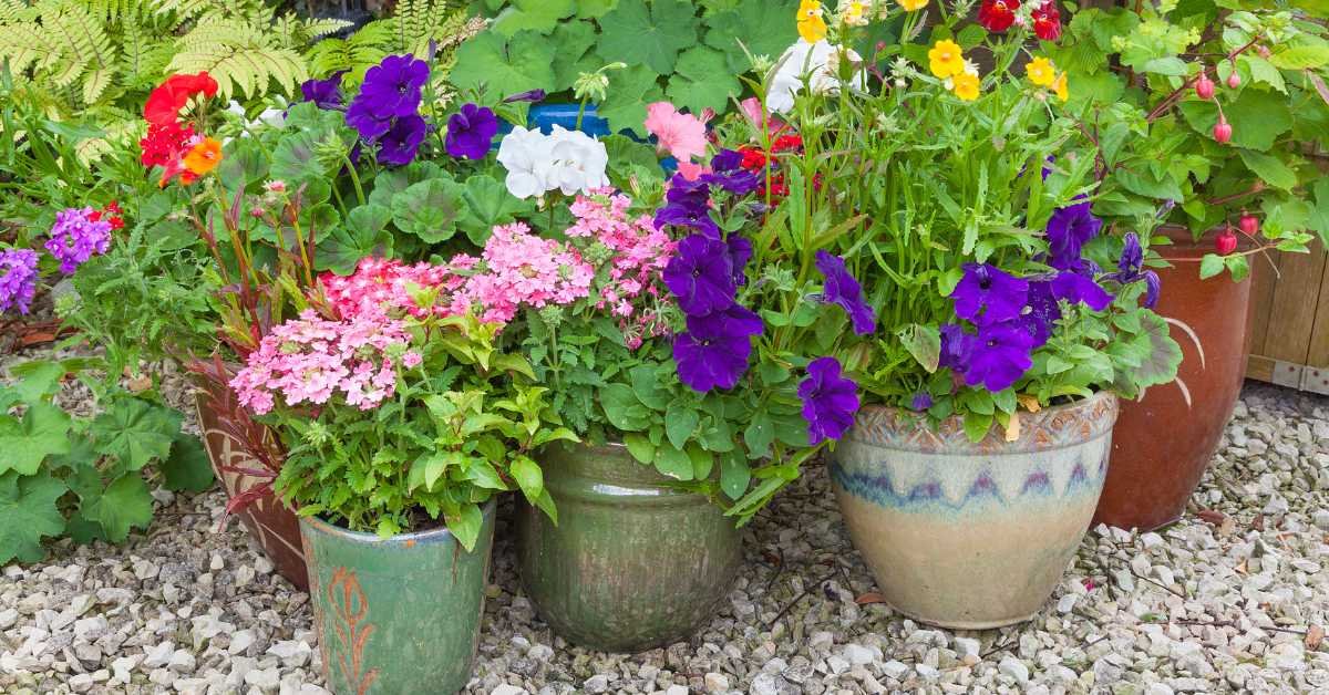 Colorful Container Corners