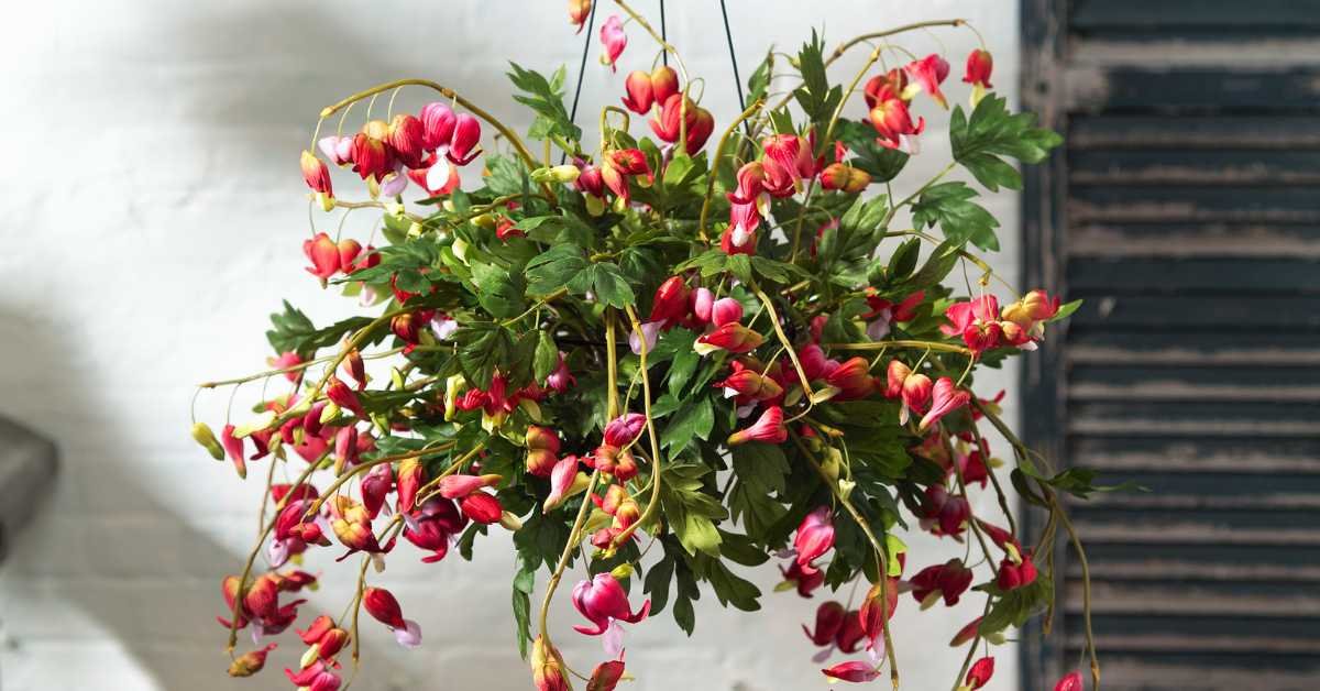 Hanging Basket Railing Planters