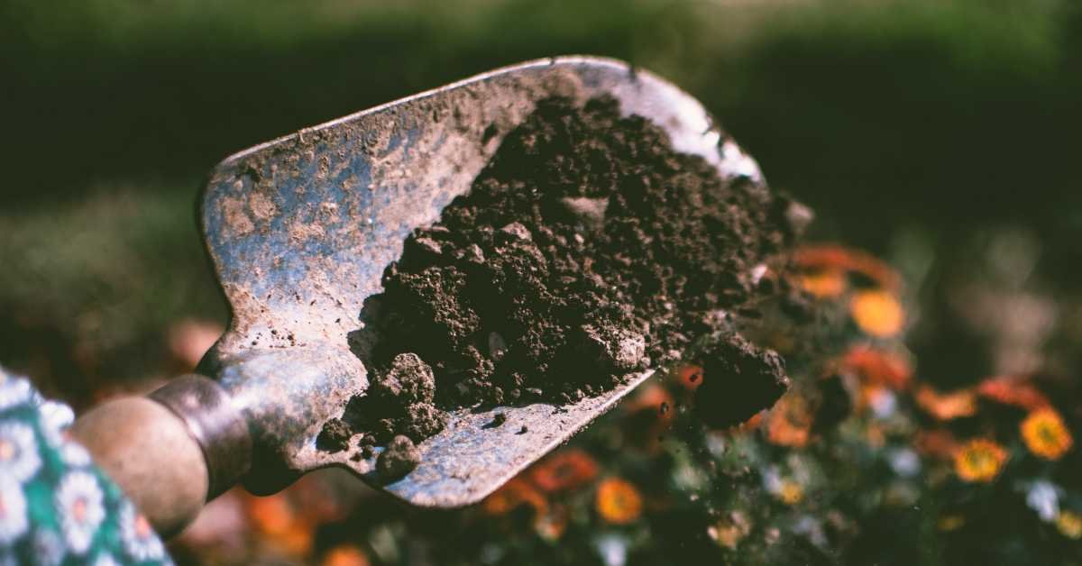 Use the Right Soil Mix for Summer