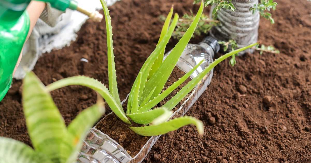 DIY Bottle Railing Planters