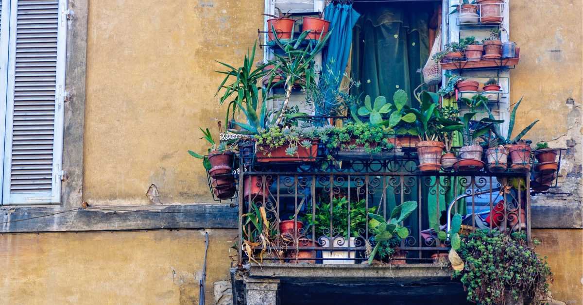 Urban Jungle Balcony