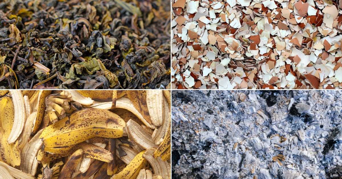 Natural Things You Can Add to Improve Soil