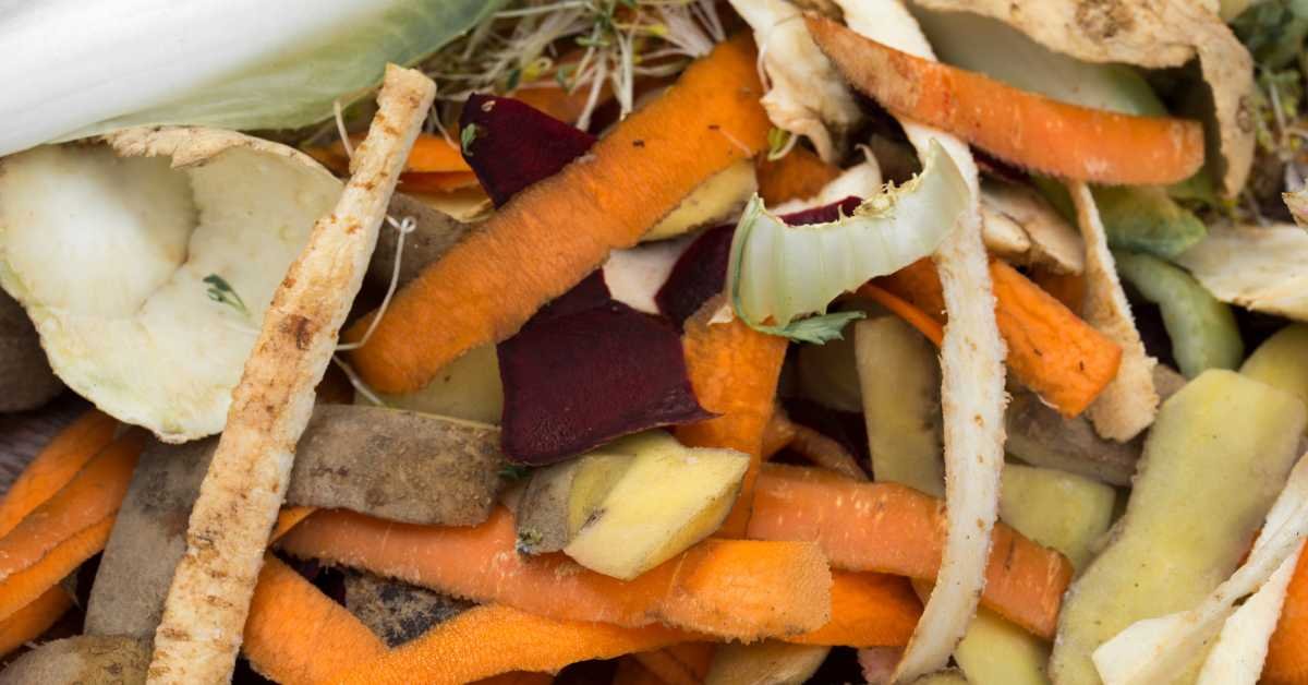 Homemade Fertilizers for Balcony Plants