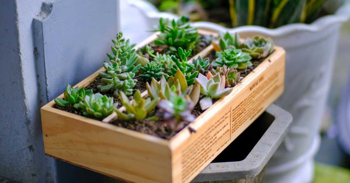 Herb Planter Boxes