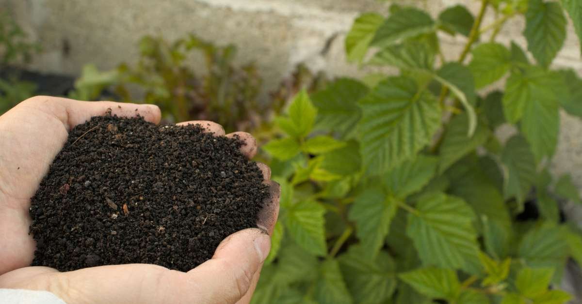 Fertilize Your Vertical Pipe Garden