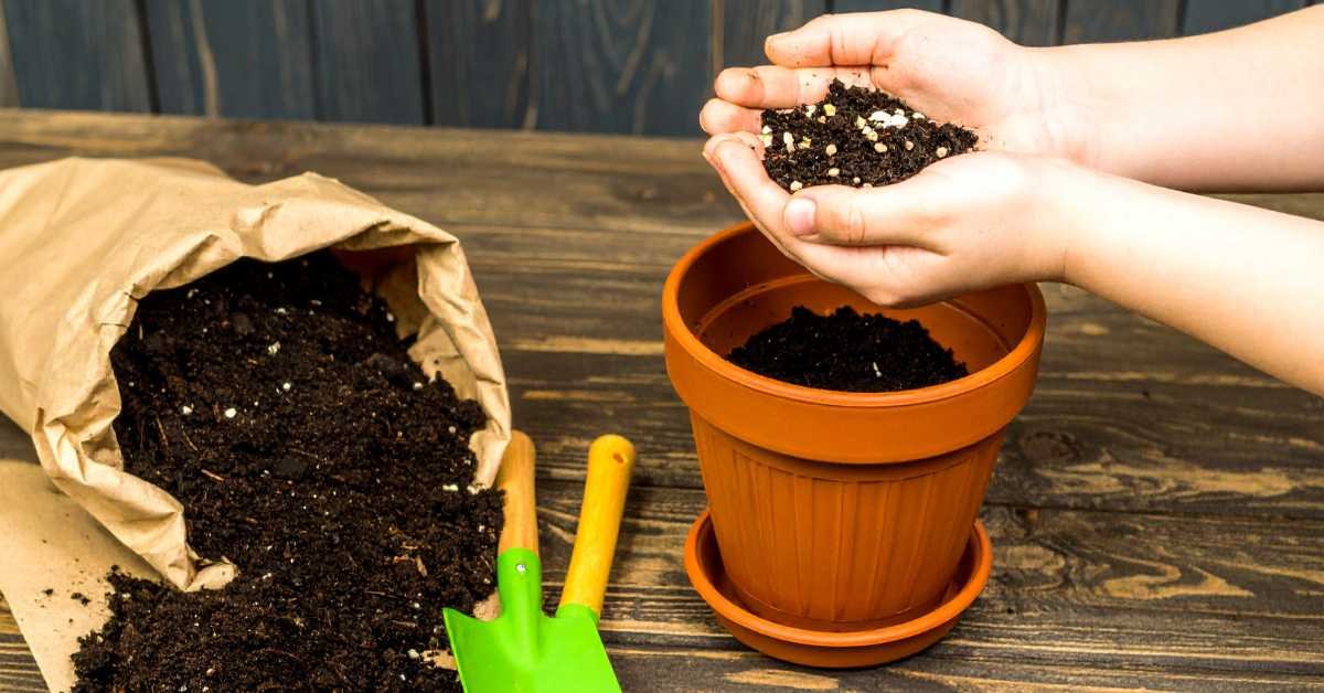 Best Soil Mix for Hanging Balcony Plants