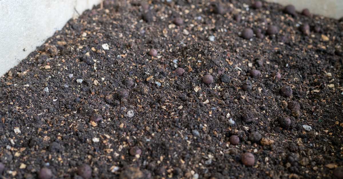 Best Soil Mix for Self Watering Planters