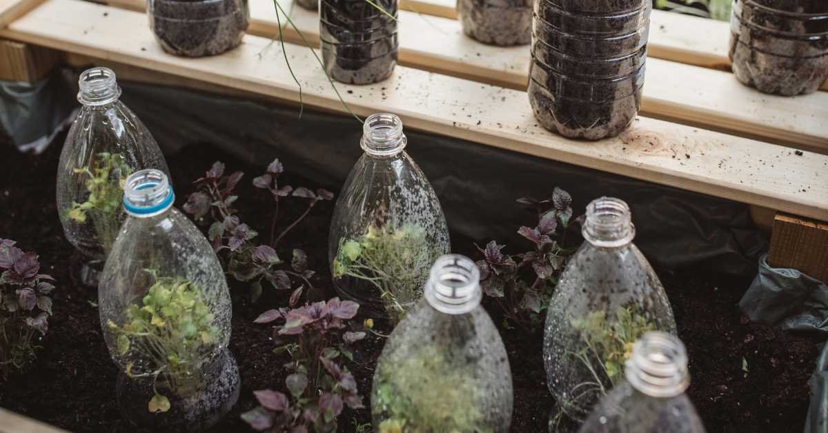 Make Bottles Look like a Design