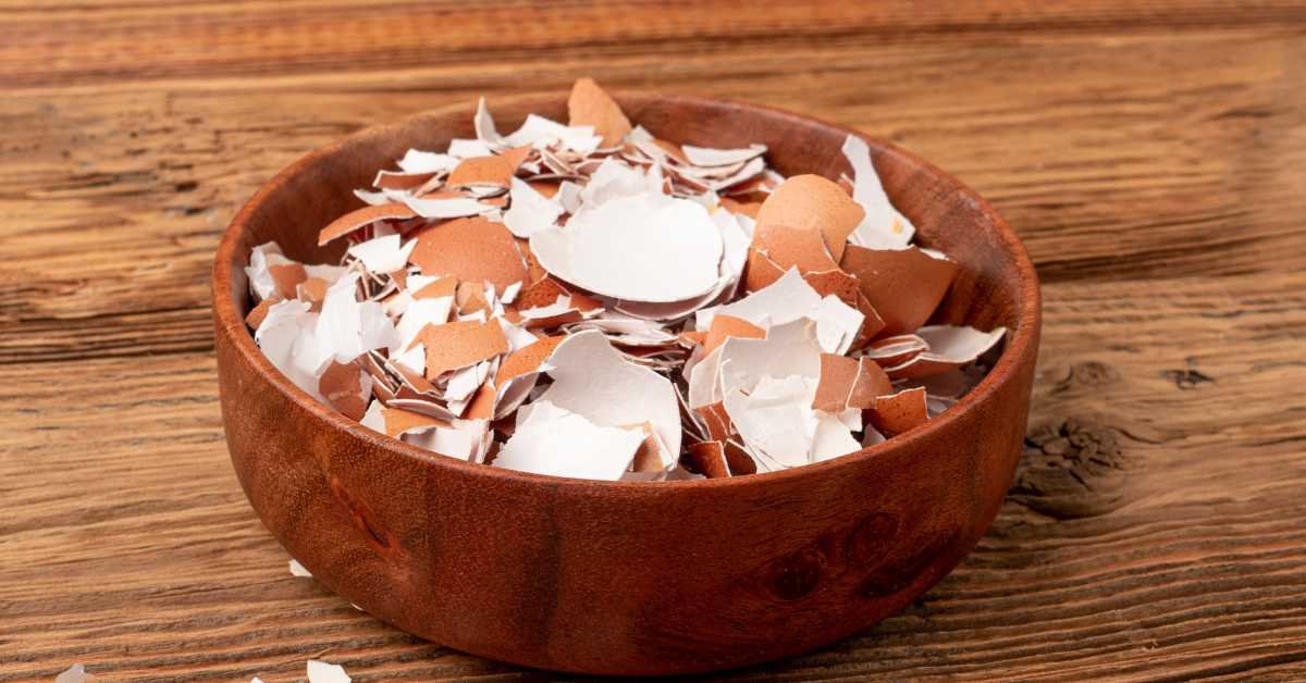 Eggshell Calcium Powder