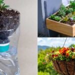 Small Balcony Railing Planter Ideas