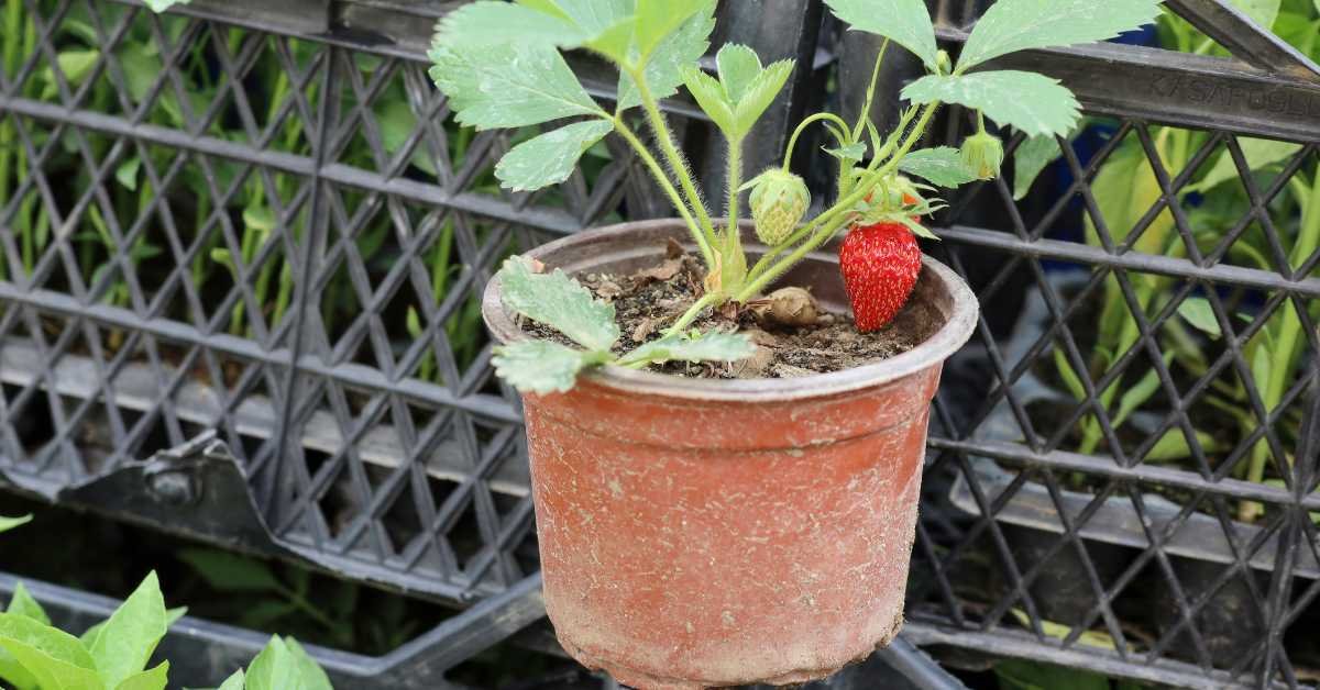 Choose the Right Containers