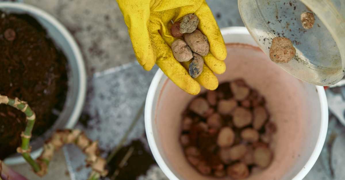 Drainage Layer at the Bottom