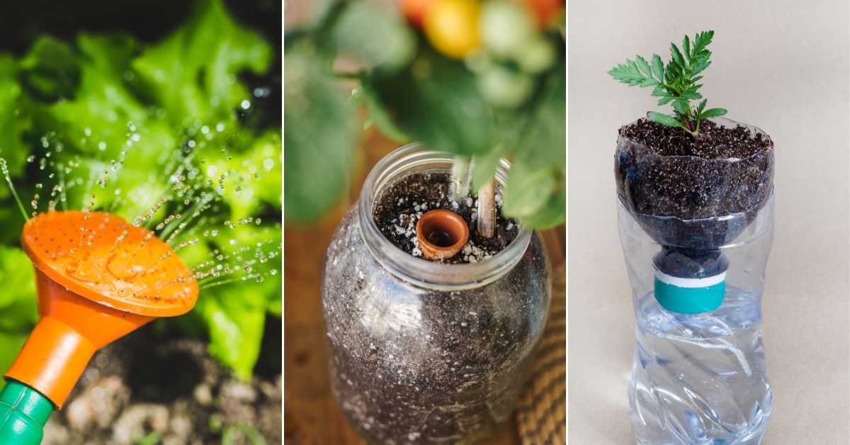 Best Balcony Plants Watering System