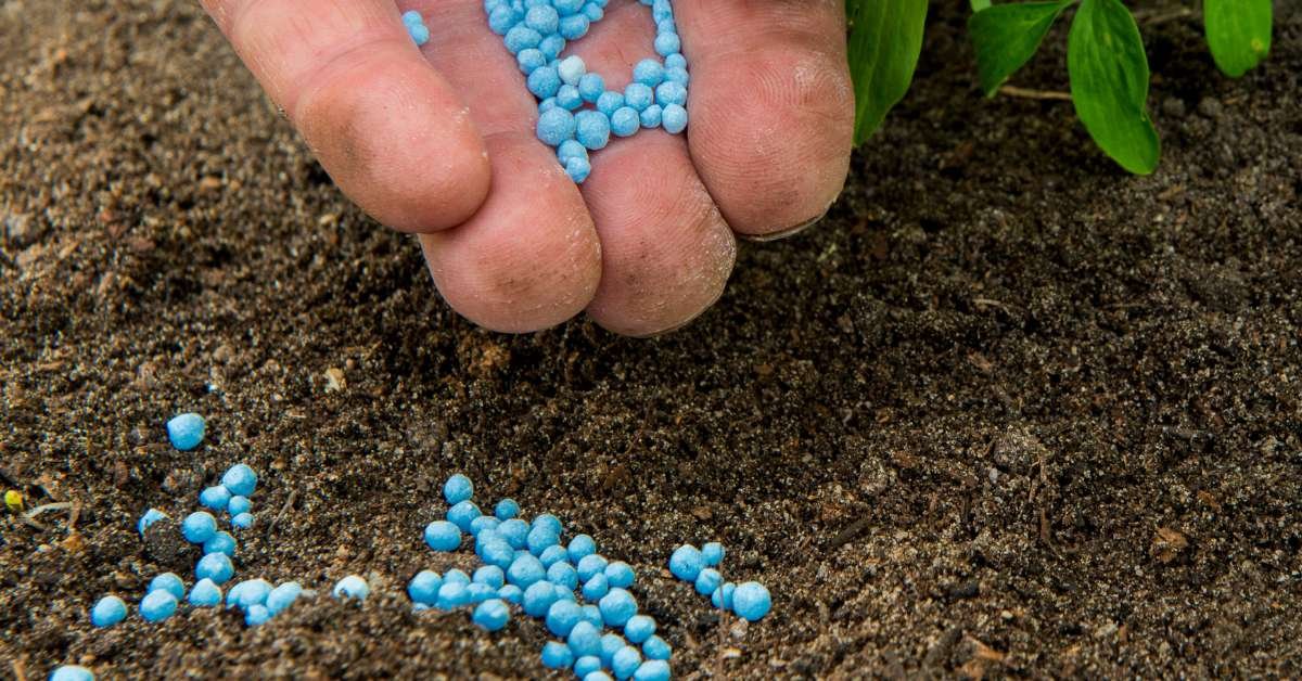 Balcony Plant Fertilizers