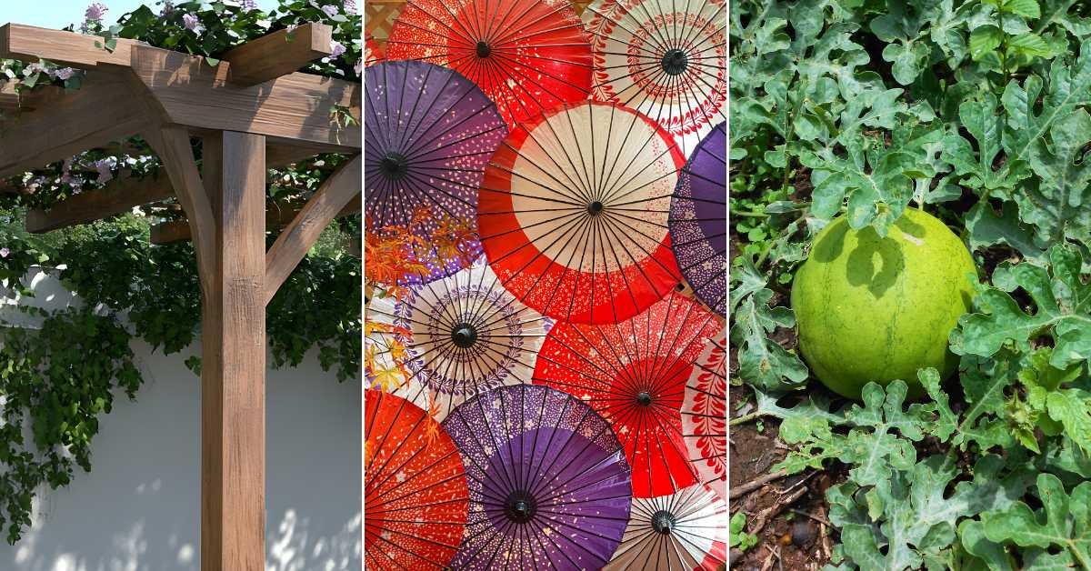Creative Ways to Provide Shade for Container Plants on a Hot Balcony