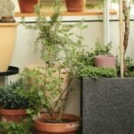 DIY Self Watering Balcony Planters