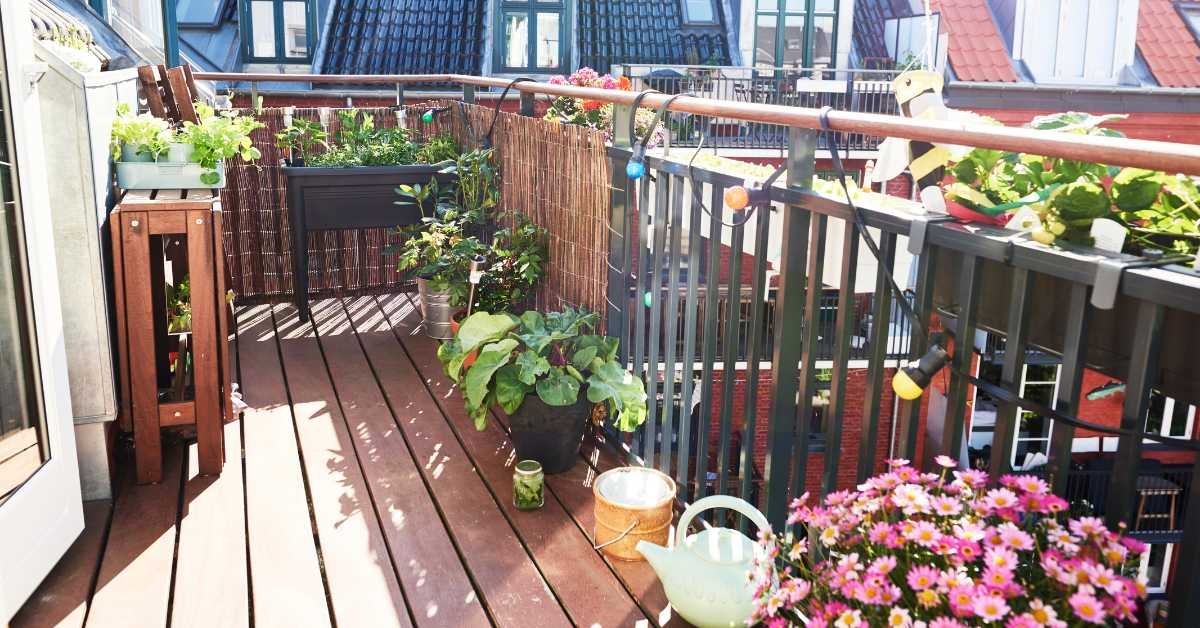 DIY Balcony Garden Project
