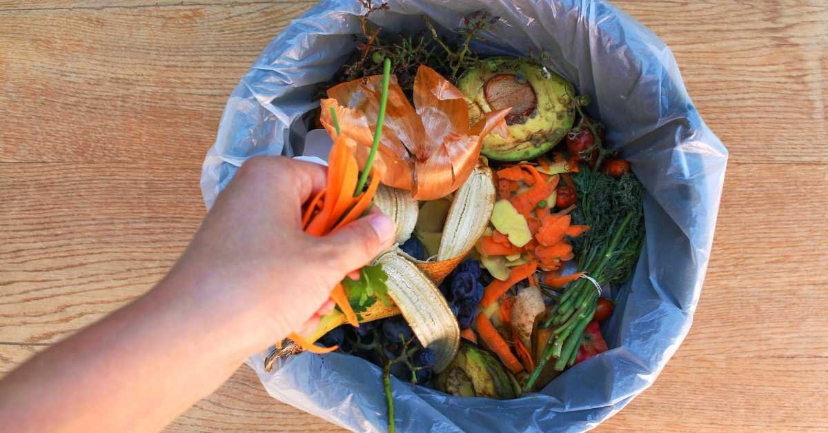 homemade compost bucket kitchen waste
