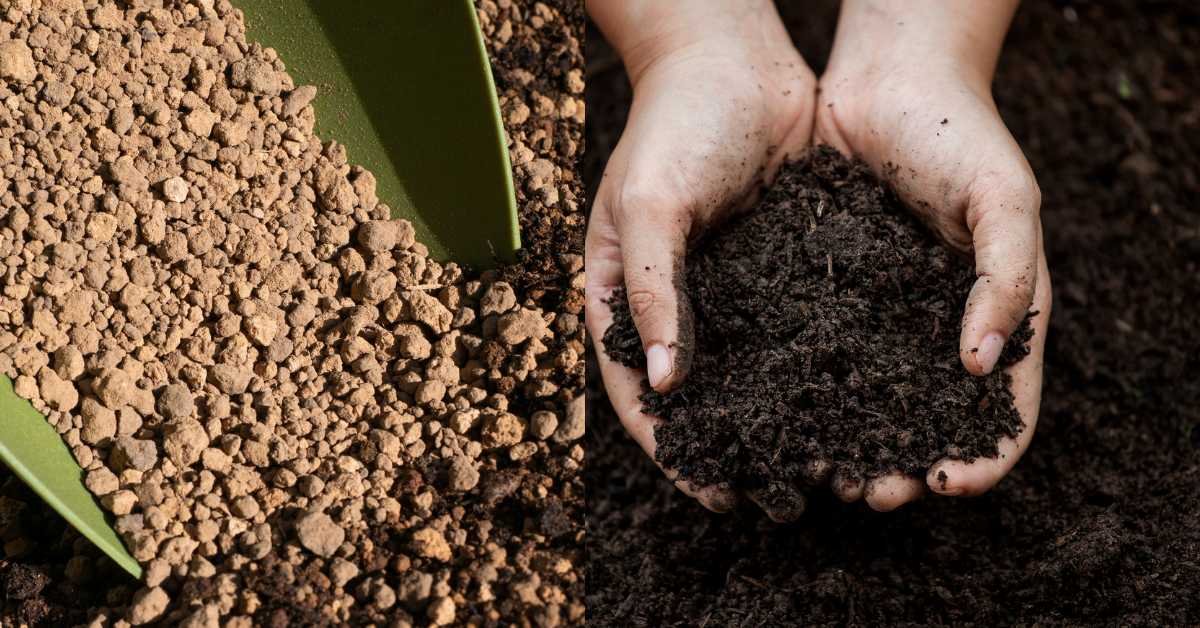 dry soil vs wet soil pots balcony