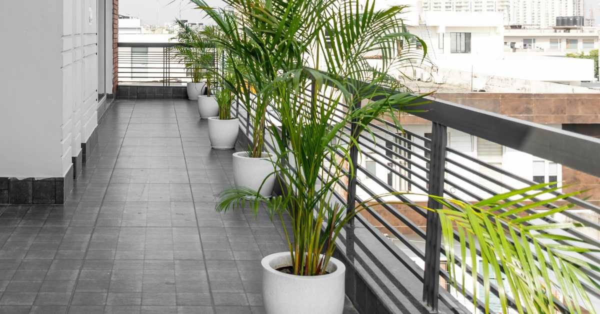 balcony garden with sitting space walkway