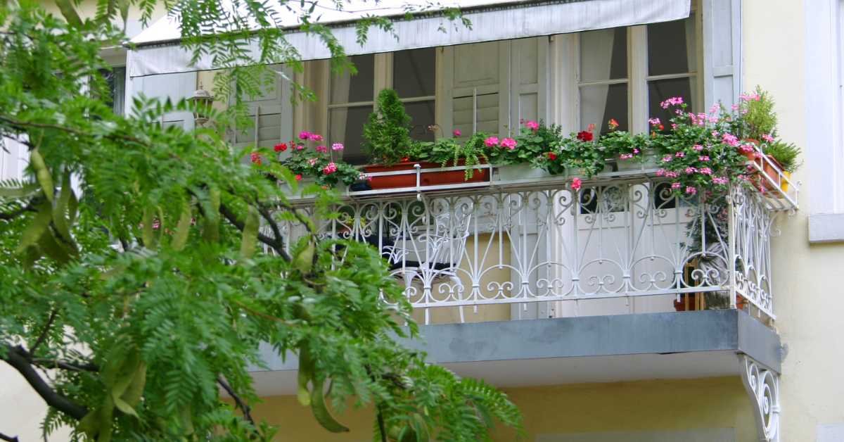 balcony sunlight shade micro zones plants