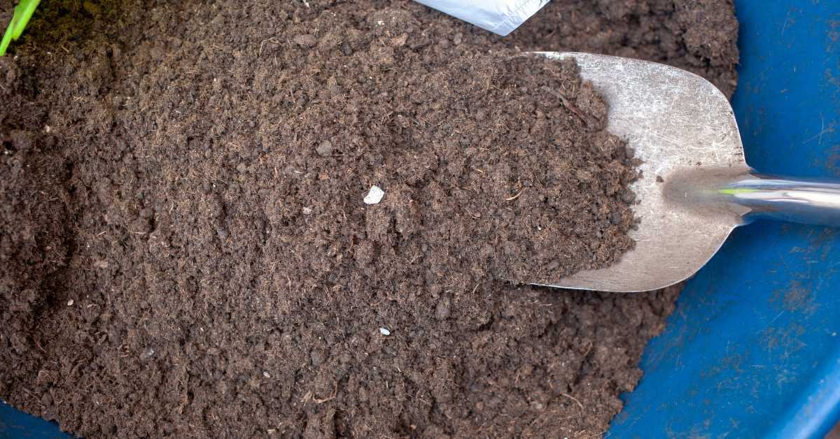 garden soil compost sand mix potting