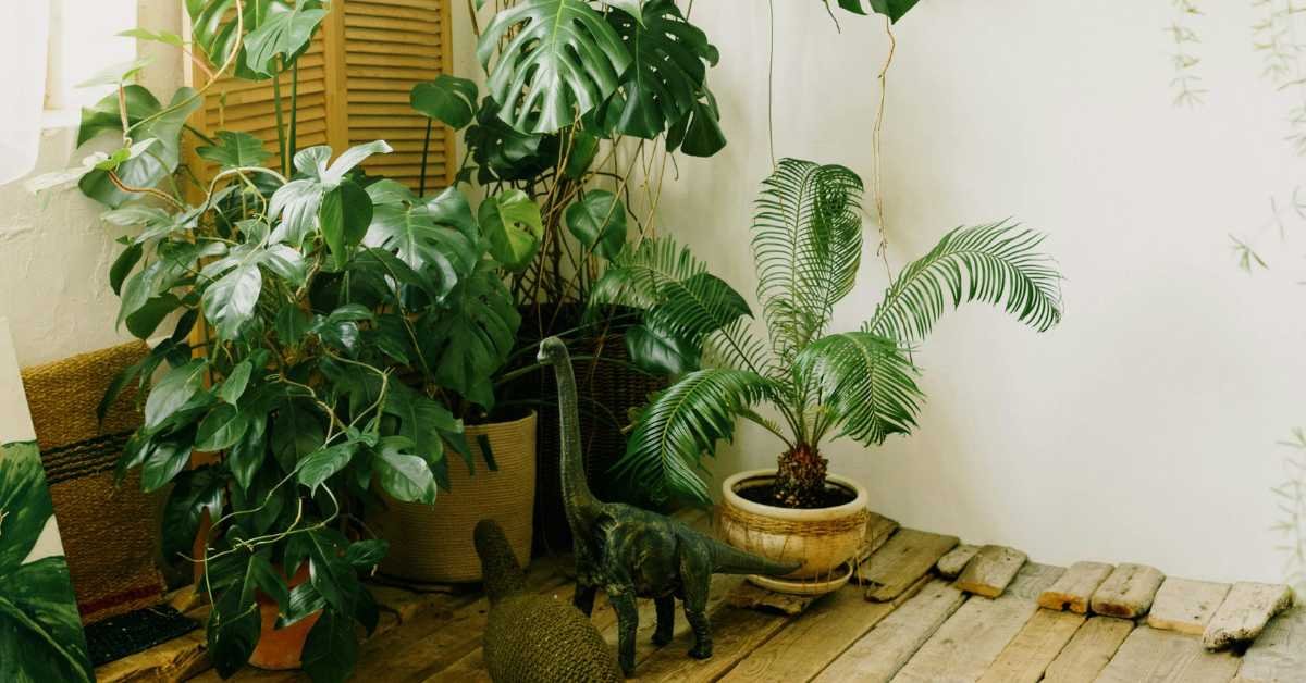 large pots protecting smaller plants 