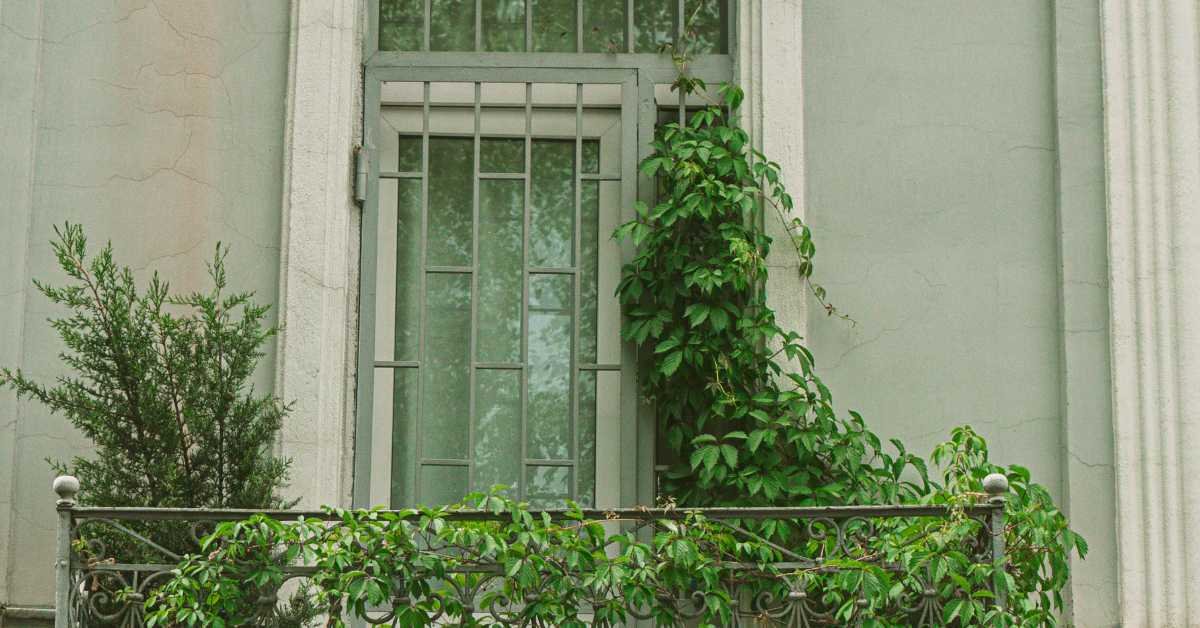tall plants in balcony corner