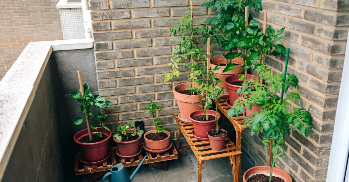 How I Decide Which Plants Are Worth Keeping on a Balcony Long-Term
