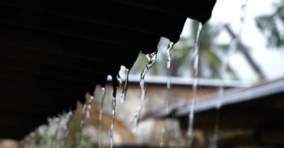 Rainwater falling from the roof to the balcony plants 