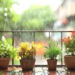 balcony plants in rain apartment balcony