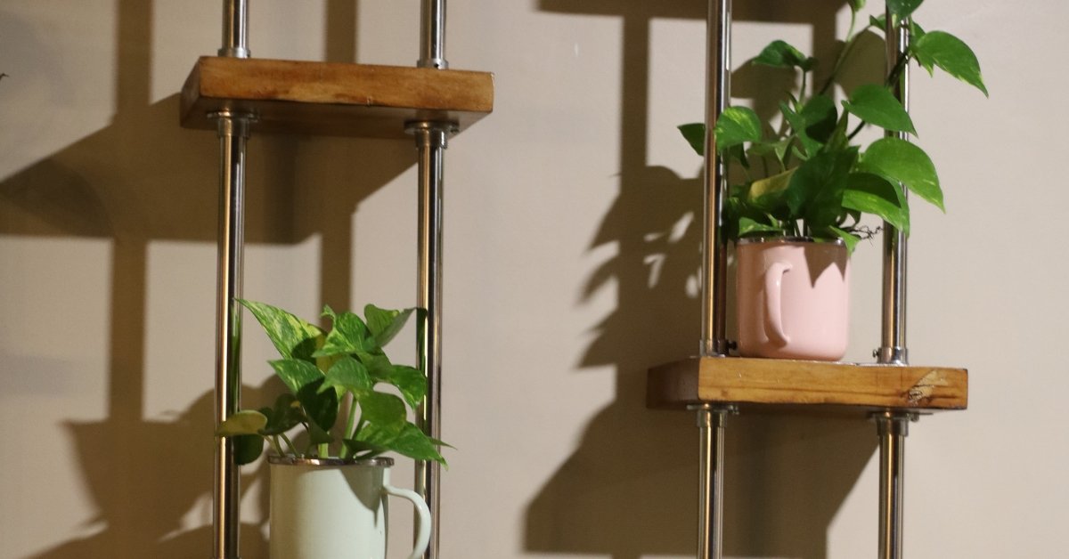 vertical gardening balcony wall