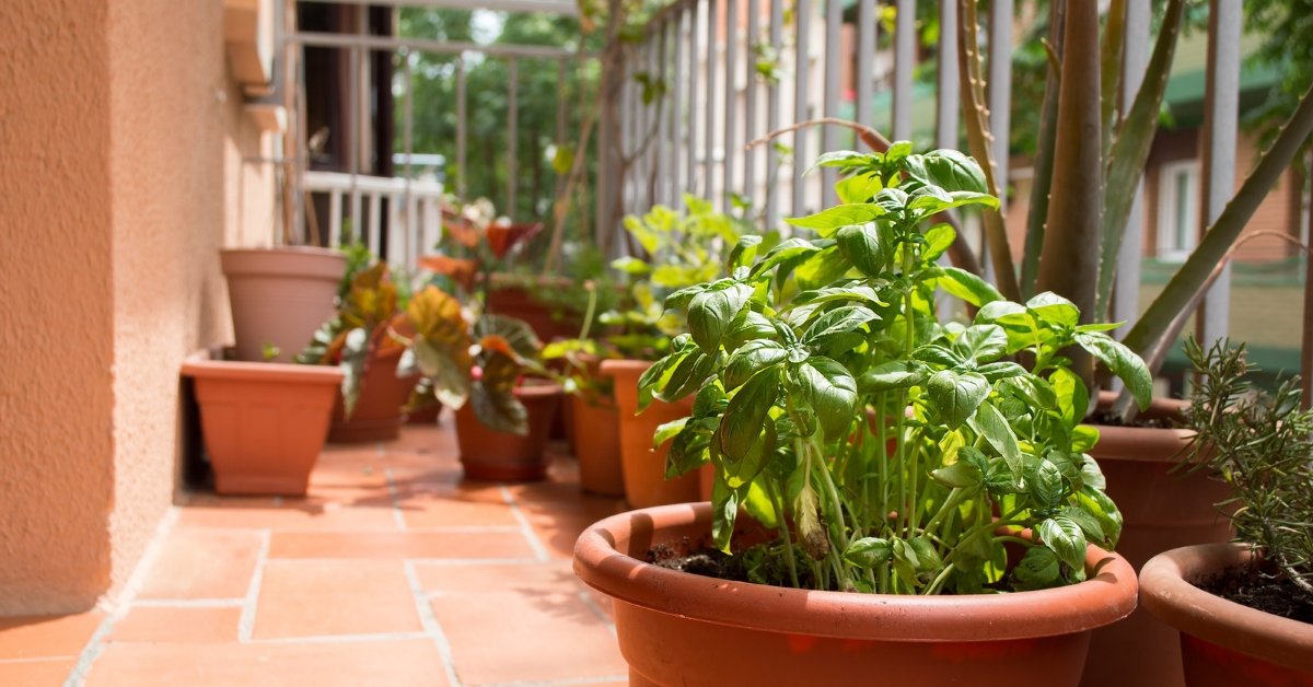 organized balcony plants system